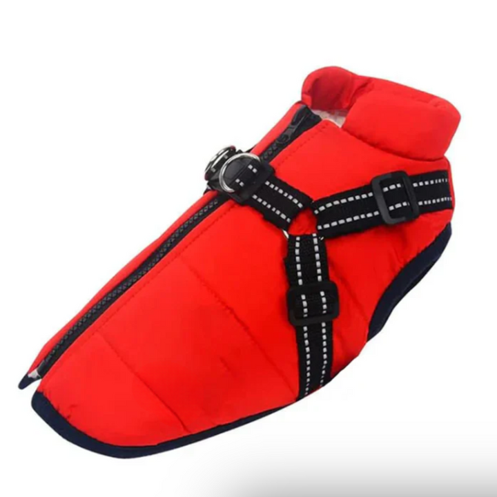 Dog Crate Harness for Winter Travel Noxord