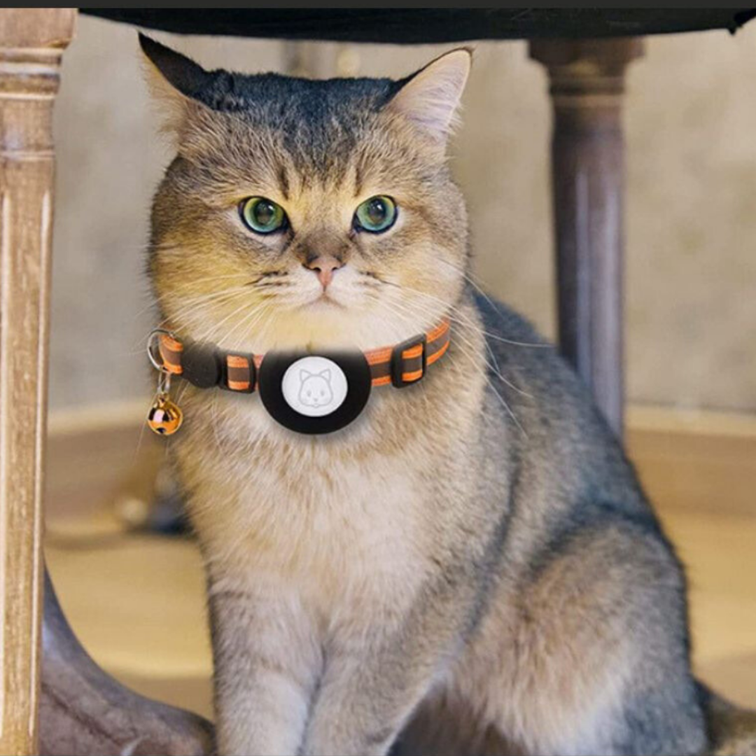 Cat Collar with Bell and GPS Holder Noxord