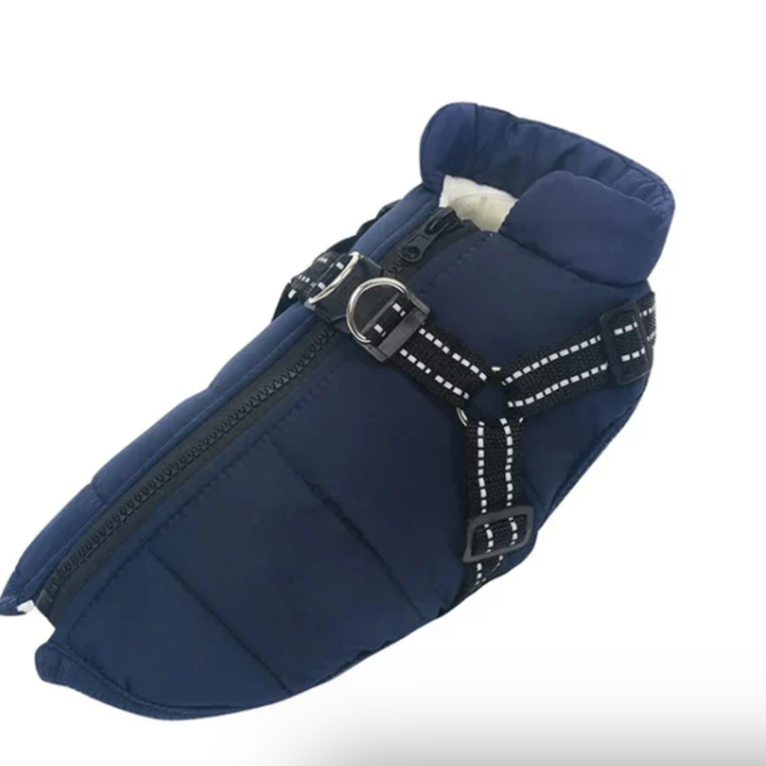 Dog Crate Harness for Winter Travel Noxord