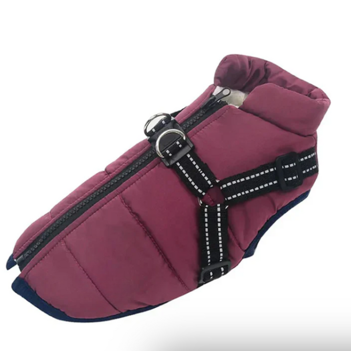 Dog Crate Harness for Winter Travel Noxord