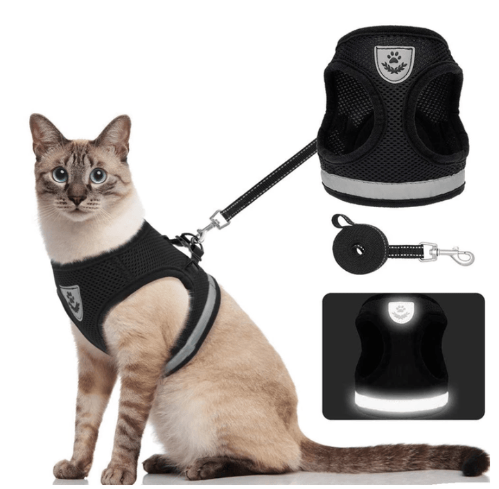 Kalsten | ADVENTURE HARNESS – Escape-proof cat harness with leash & reflective elements