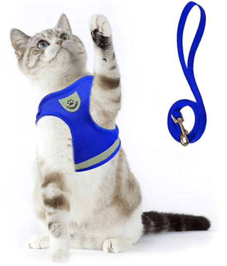 Kalsten | ADVENTURE HARNESS – Escape-proof cat harness with leash & reflective elements