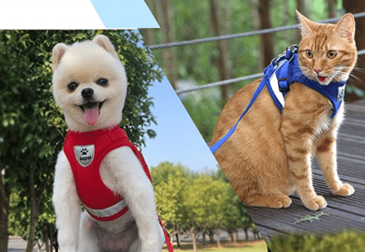 Kalsten | ADVENTURE HARNESS – Escape-proof cat harness with leash & reflective elements