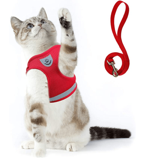 Kalsten | ADVENTURE HARNESS – Escape-proof cat harness with leash & reflective elements