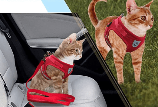 Kalsten | ADVENTURE HARNESS – Escape-proof cat harness with leash & reflective elements