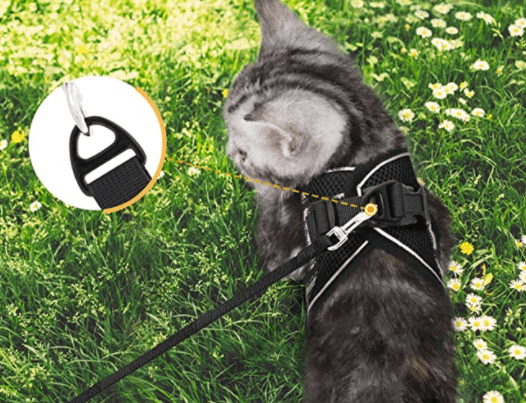 Kalsten | ADVENTURE HARNESS – Escape-proof cat harness with leash & reflective elements