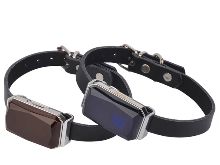 Mini GPS Tracker G12 with Real-Time Tracking