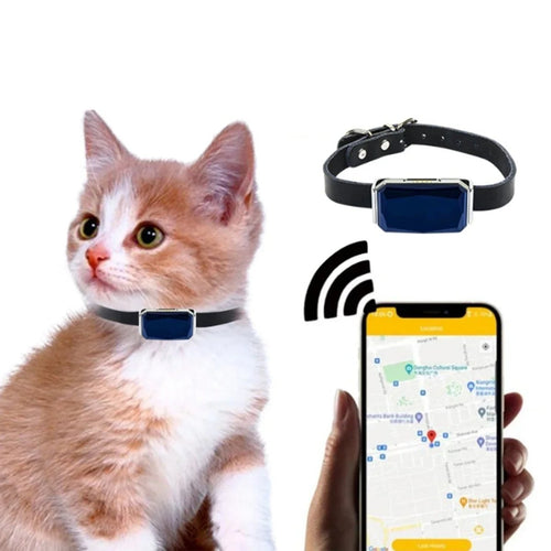 Mini GPS Tracker G12 with Real-Time Tracking