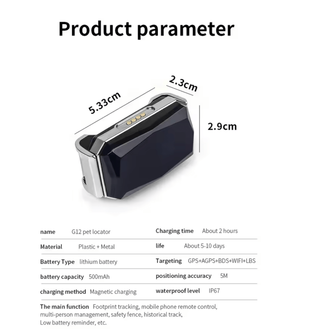 Mini GPS Tracker G12 with Real-Time Tracking