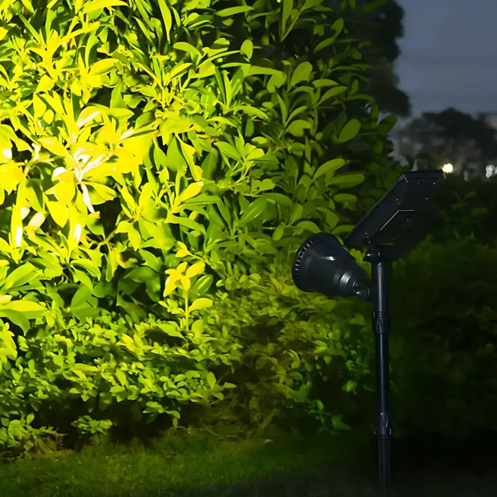 Solar Garden Light with Ground Stake Noxord