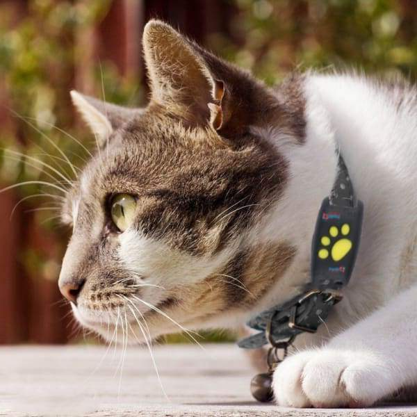 Kalsten | Cat GPS Tracker for Pets Locator Device Microchip