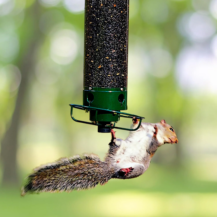 Squirrel-Proof Outdoor Hanging Bird Feeder Kalsten