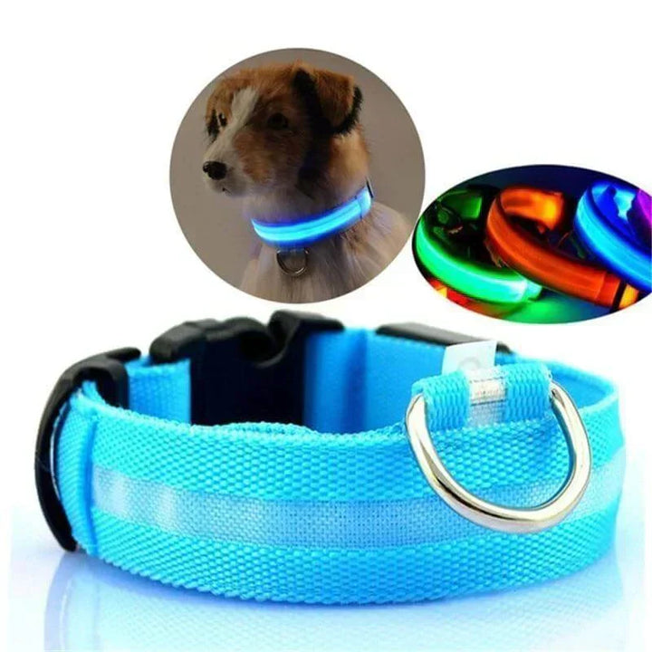 Kalsten | GlowPets LED Collar – Safety & Visibility for Pets