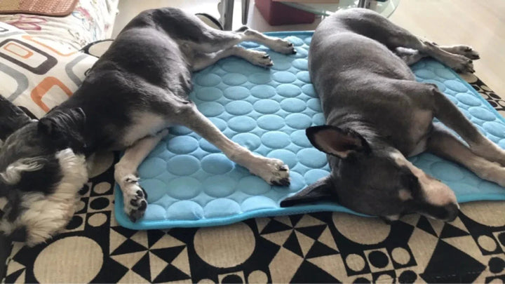 Dog Cooling Mat Summer Pad for Dogs Cat Blanket Breathable Dog Bed Kennel Puppy Sleeping Sofa Cushion Dog Accessories | Kalsten