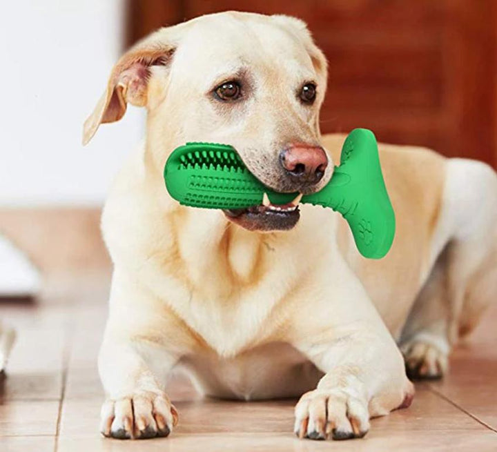 Denchew - Pet Toy Toothbrush | Kalsten