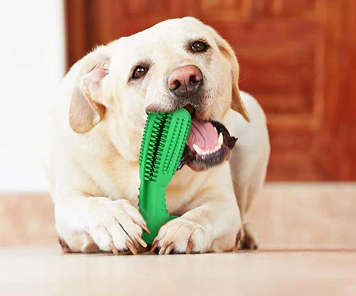 Denchew - Pet Toy Toothbrush | Kalsten