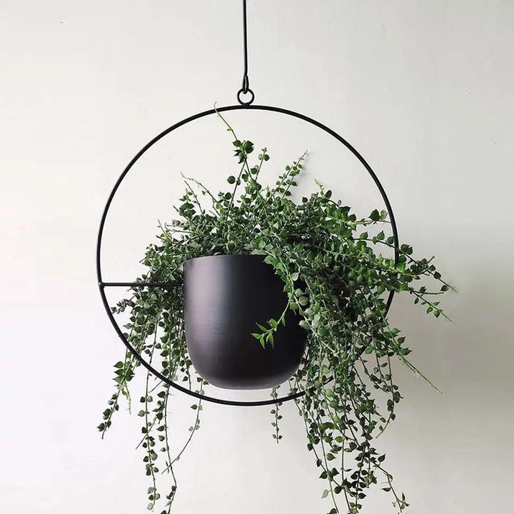 FloraFrame Elegant Metal Wall & Ceiling Plant Holder
