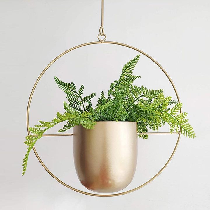 FloraFrame Elegant Metal Wall & Ceiling Plant Holder