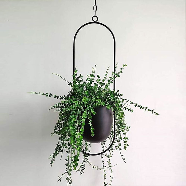 Kalsten | Wall Hanging Metal Plant Holder – FloraFrame