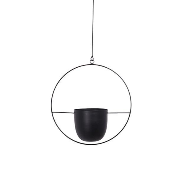 FloraFrame Elegant Metal Wall & Ceiling Plant Holder