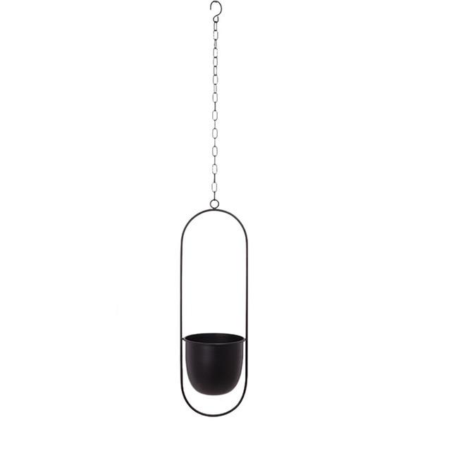 FloraFrame Elegant Metal Wall & Ceiling Plant Holder
