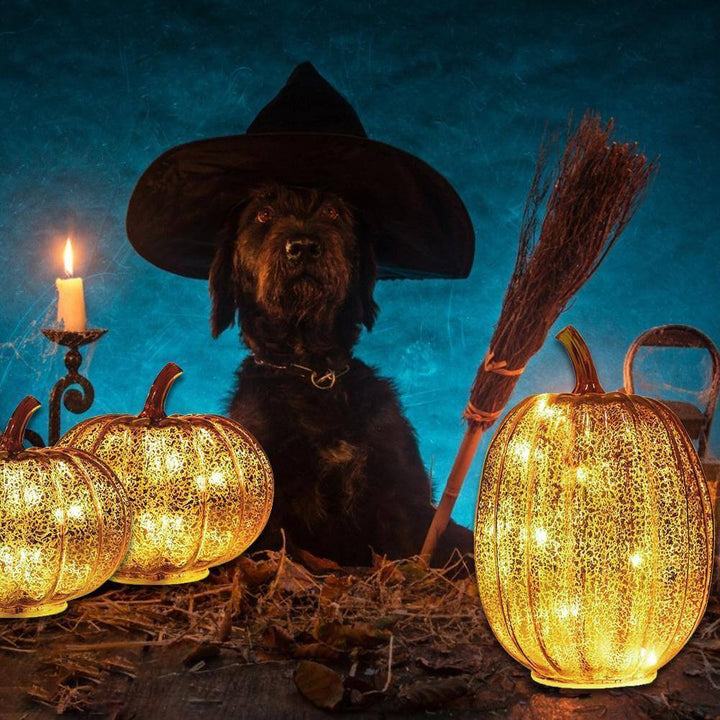 Pumpkin Luminous Halloween Decorative Lamp | Noxord