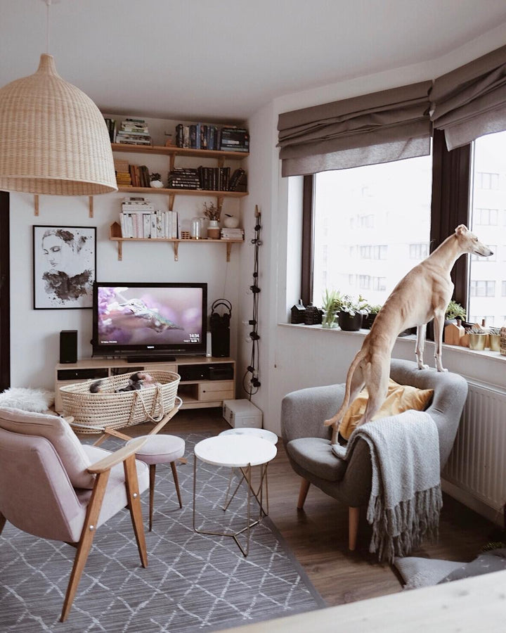 Rattan Pendant Light | Kalsten