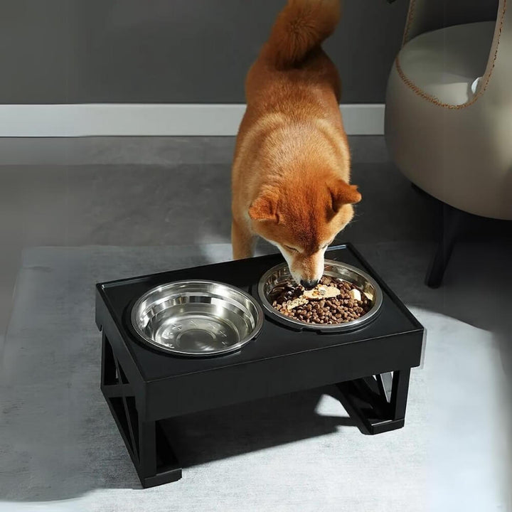 PupLift Elevated Dog Bowl – Ergonomic & Slow Feeding for Healthy Meals | Kalsten