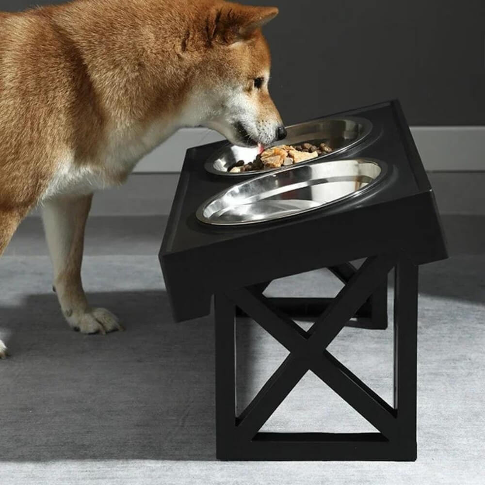 PupLift Elevated Dog Bowl – Ergonomic & Slow Feeding for Healthy Meals | Kalsten