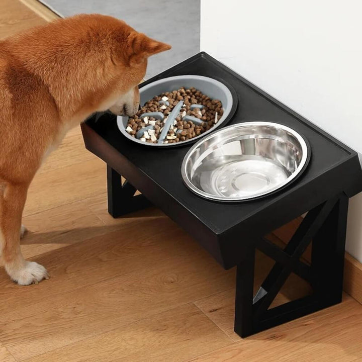 PupLift Raised Dog Bowl – Ergonomic & Slow Feeding for Healthy Meals | Kalsten