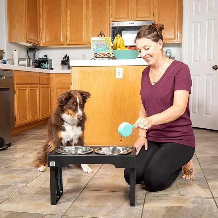 PupLift Raised Dog Bowl – Ergonomic & Slow Feeding for Healthy Meals | Kalsten