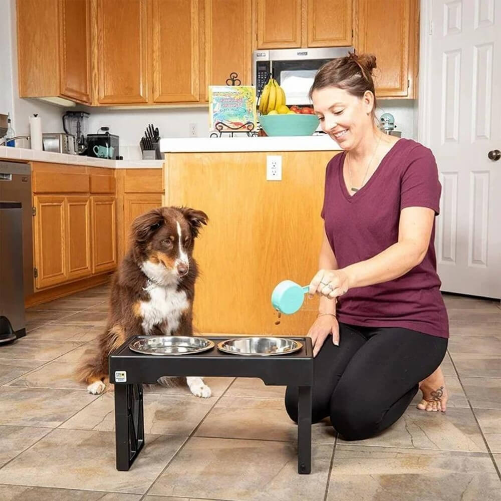 PupLift Elevated Dog Bowl – Ergonomic & Slow Feeding for Healthy Meals | Kalsten