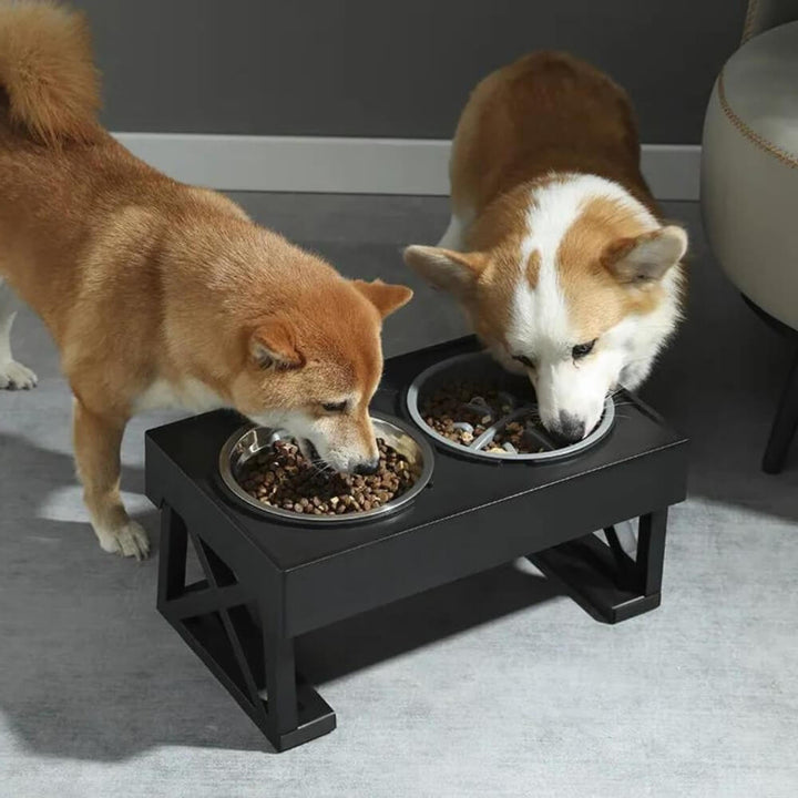 PupLift Raised Dog Bowl – Ergonomic & Slow Feeding for Healthy Meals | Kalsten