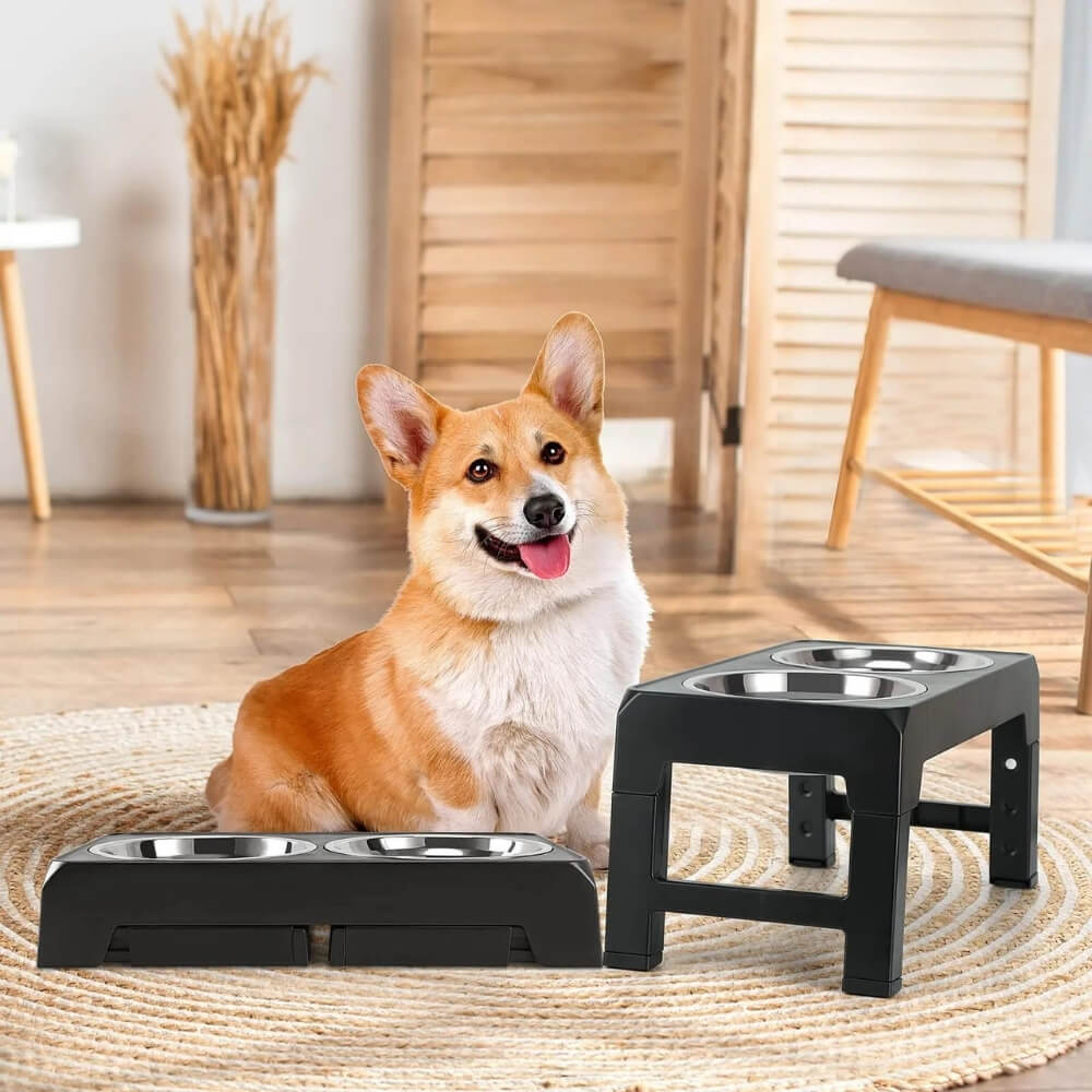 PupLift Elevated Dog Bowl – Ergonomic & Slow Feeding for Healthy Meals | Kalsten