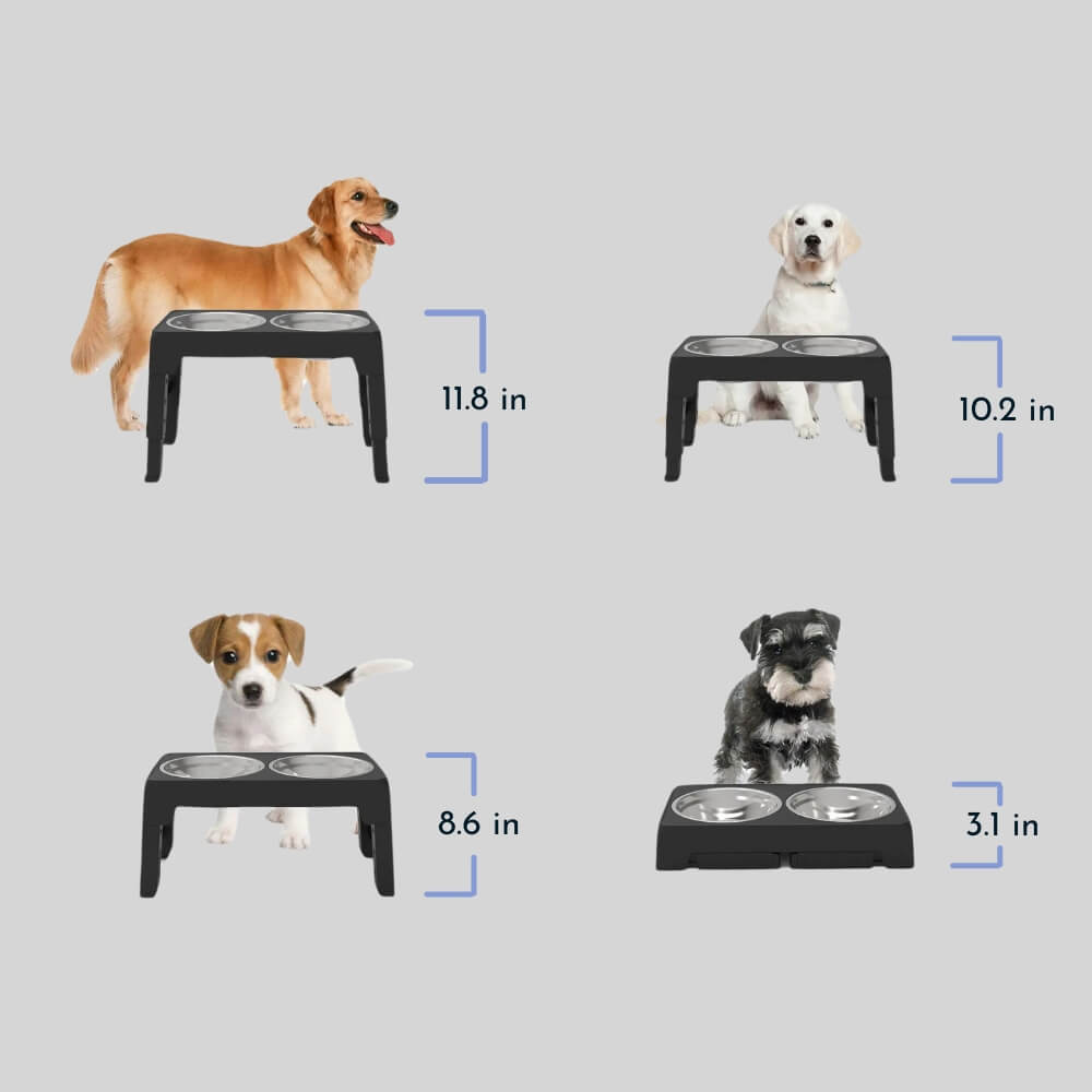 PupLift Elevated Dog Bowl – Ergonomic & Slow Feeding for Healthy Meals | Kalsten