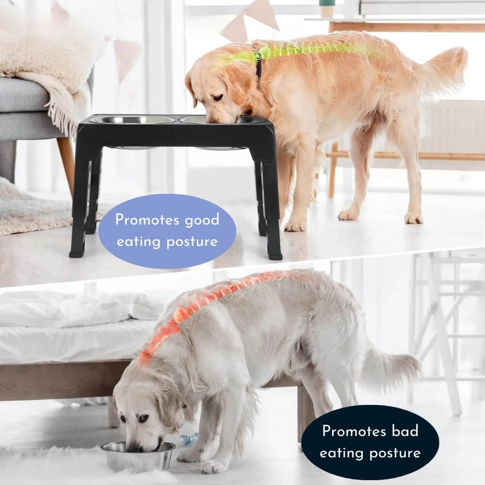 PupLift Elevated Dog Bowl – Ergonomic & Slow Feeding for Healthy Meals | Kalsten