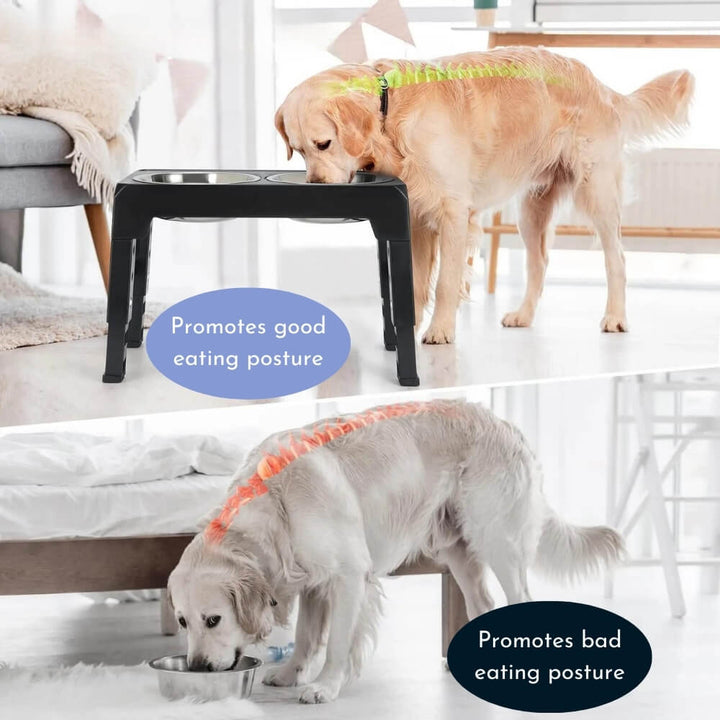 PupLift Elevated Dog Bowl – Ergonomic & Slow Feeding for Healthy Meals | Kalsten