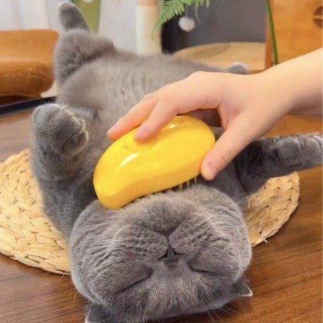 Cat brush with steam function | Kalsten