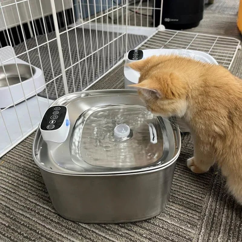Smart Drinking Fountain for Cats and Dogs – 3.2L Stainless Steel with Filter | Kalsten