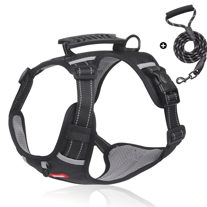 Reflective Dog Harness | Kalsten