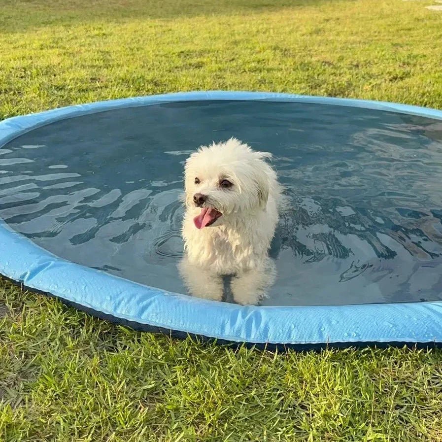 SplashyPaws • Splash Pad