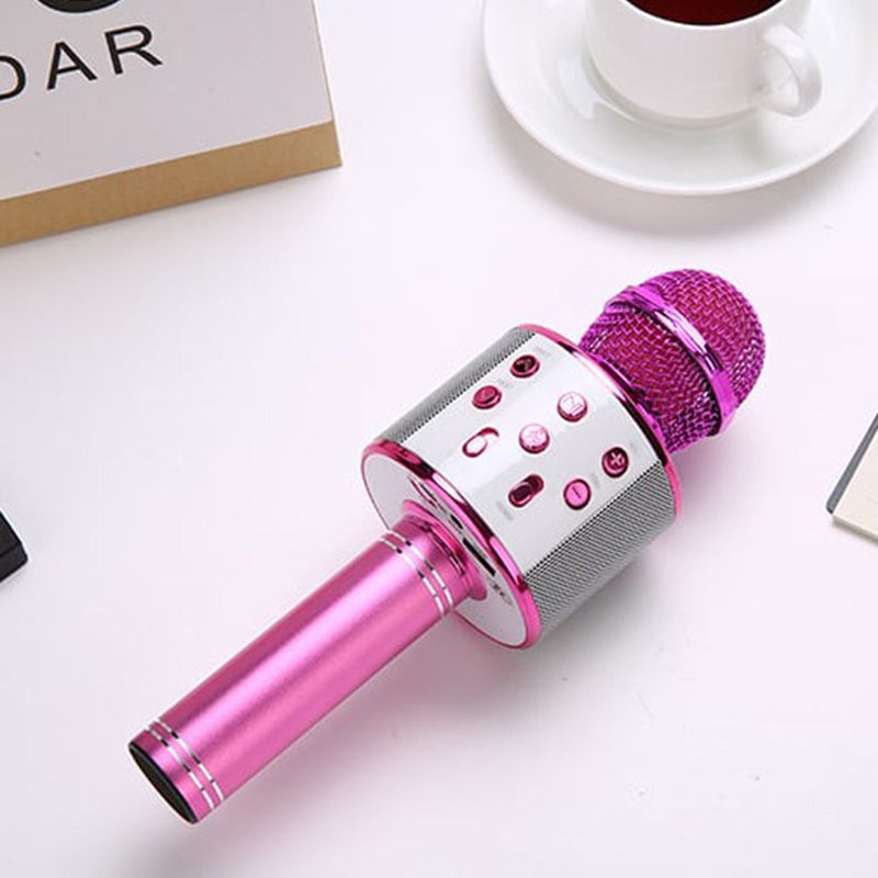 Wireless Karaoke Microphone with Bluetooth | Kalsten