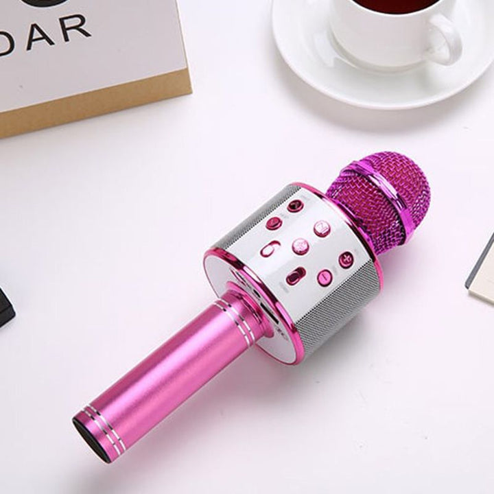 Wireless Karaoke Microphone with Bluetooth | Kalsten