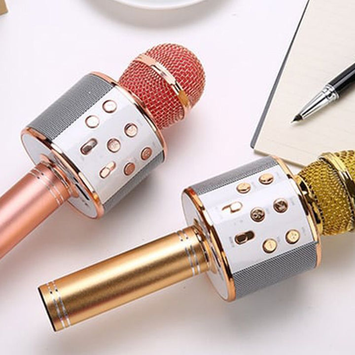 Wireless Karaoke Microphone with Bluetooth | Kalsten