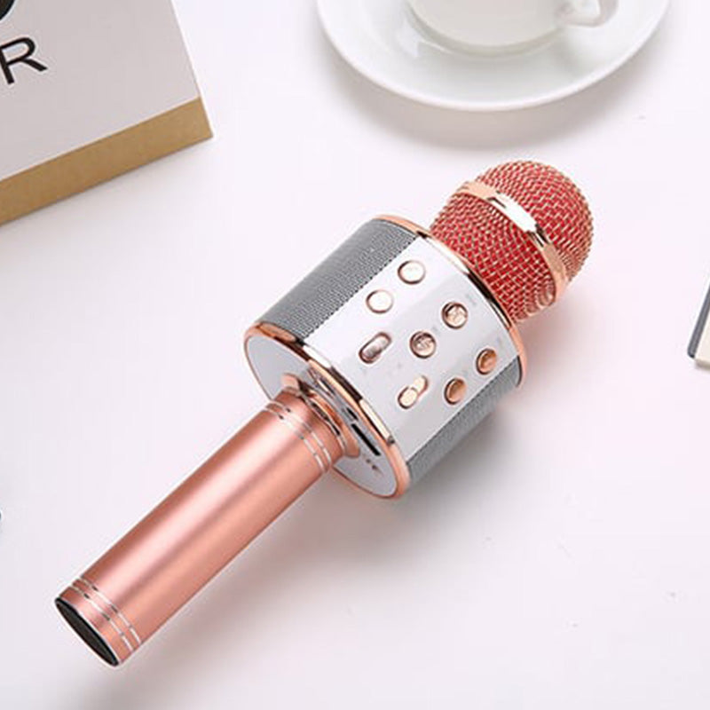 Wireless Karaoke Microphone with Bluetooth | Kalsten
