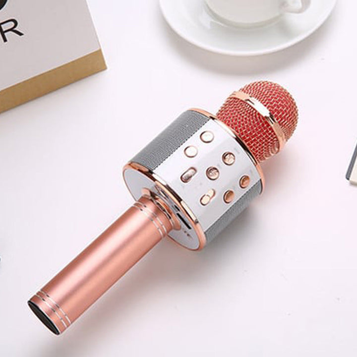 Wireless Karaoke Microphone with Bluetooth | Kalsten