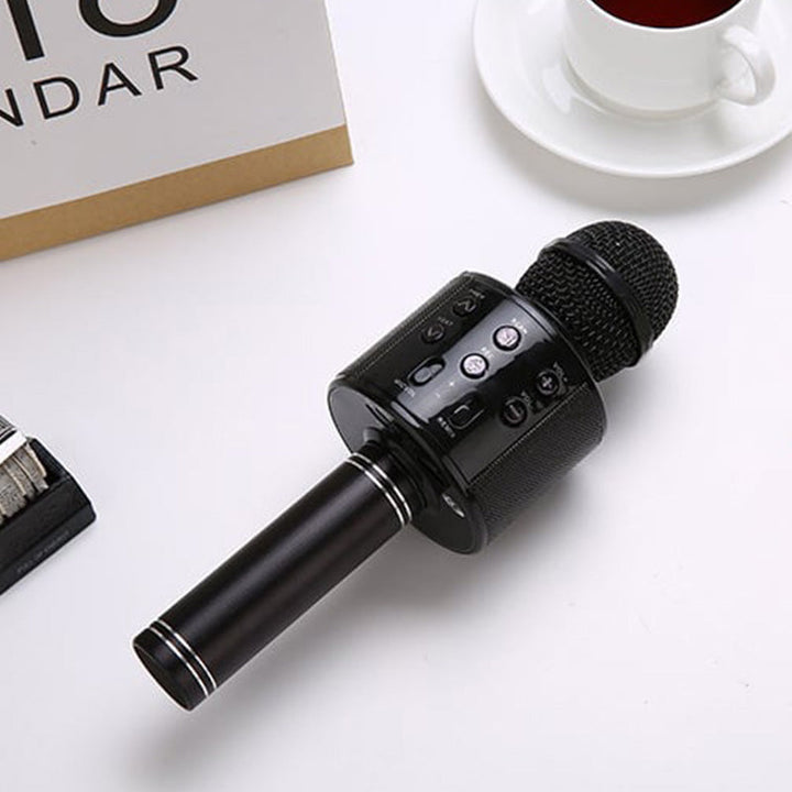 Wireless Karaoke Microphone with Bluetooth | Kalsten
