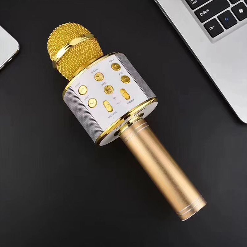 Wireless Karaoke Microphone with Bluetooth | Kalsten