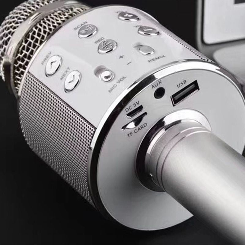Wireless Karaoke Microphone with Bluetooth | Kalsten