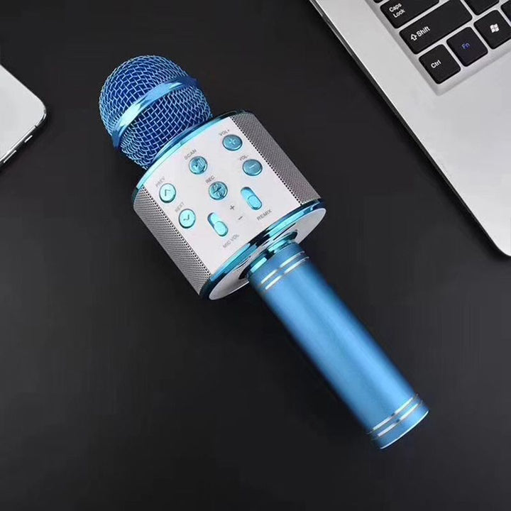 Wireless Karaoke Microphone with Bluetooth | Kalsten